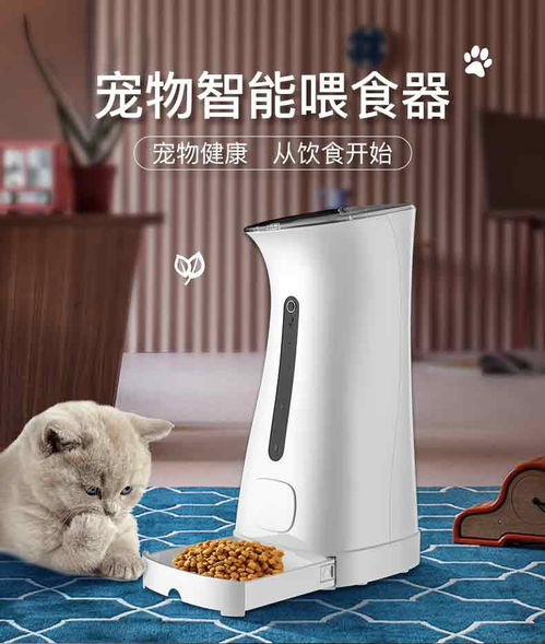 智能喂食新体验 天赐良宠自动喂食器，让宠物照看更省心
