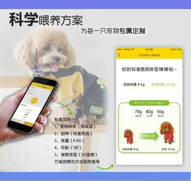 融了1000万,只为让它们好好吃饭!